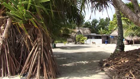 small household on fanning island, republic of kiribati