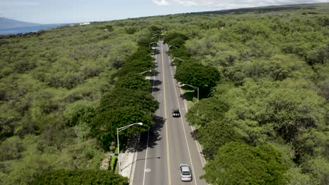 jeep conduciendo por hawaii en una carretera
