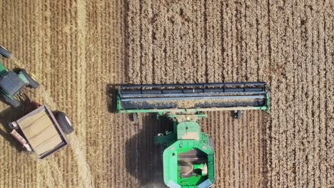 ascendiendo por encima de una cosechadora que trabaja y un tractor con contenedor que deja la cosechadora y se aleja