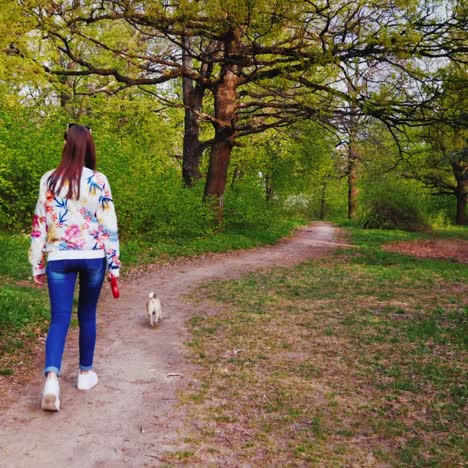 young stylish woman in sunglasses walking in the park with a dog of pug breed 4