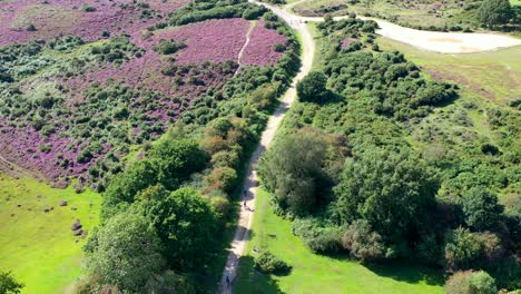 Drohne-Folgt-Offroad-Radfahrern-Auf-Einem-Neuen-Waldweg,-In-Hampshire,-Großbritannien,-4k