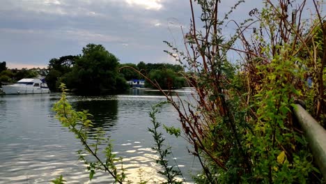 Quiet-scenary-on-the-river-Thames-in-London-right-next-to-Richmond-bridge