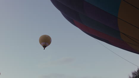 hot air balloons in the sky
