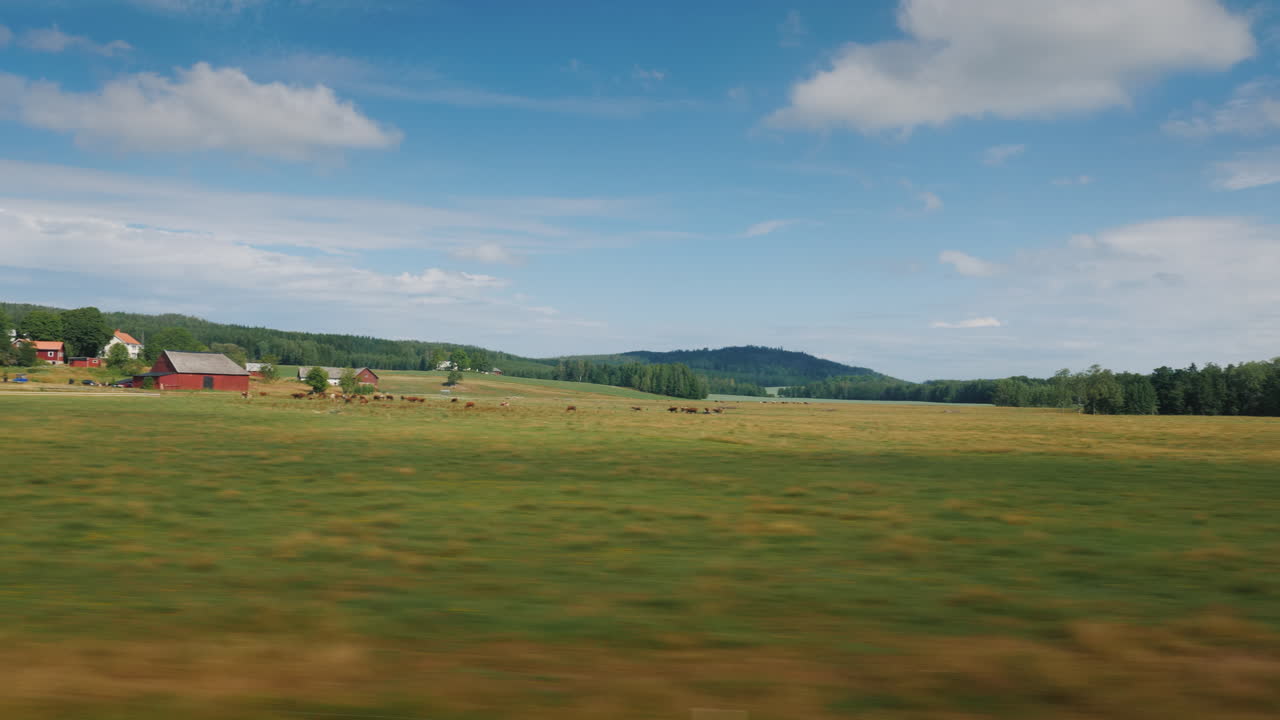 путешествие по живописной дороге в швеции вид из окна автомобиля 4k окно