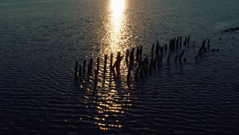 calm sea surface reflecting bright golden sunset at summer evening seascape view