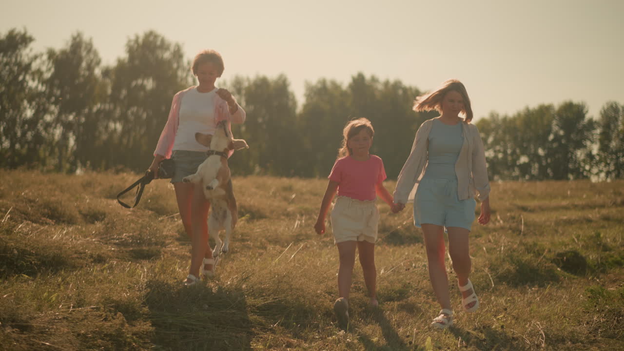 언덕과 잔디에서 내려오면서 엄마의 손을 잡고 있는 어린 소녀, 머리카락과 옷을 통해 바람이 불고, 애완동물 애호가와 함께 놀이하는 개가 그녀의 손에 도달하기 위해 뛰어올랐다.