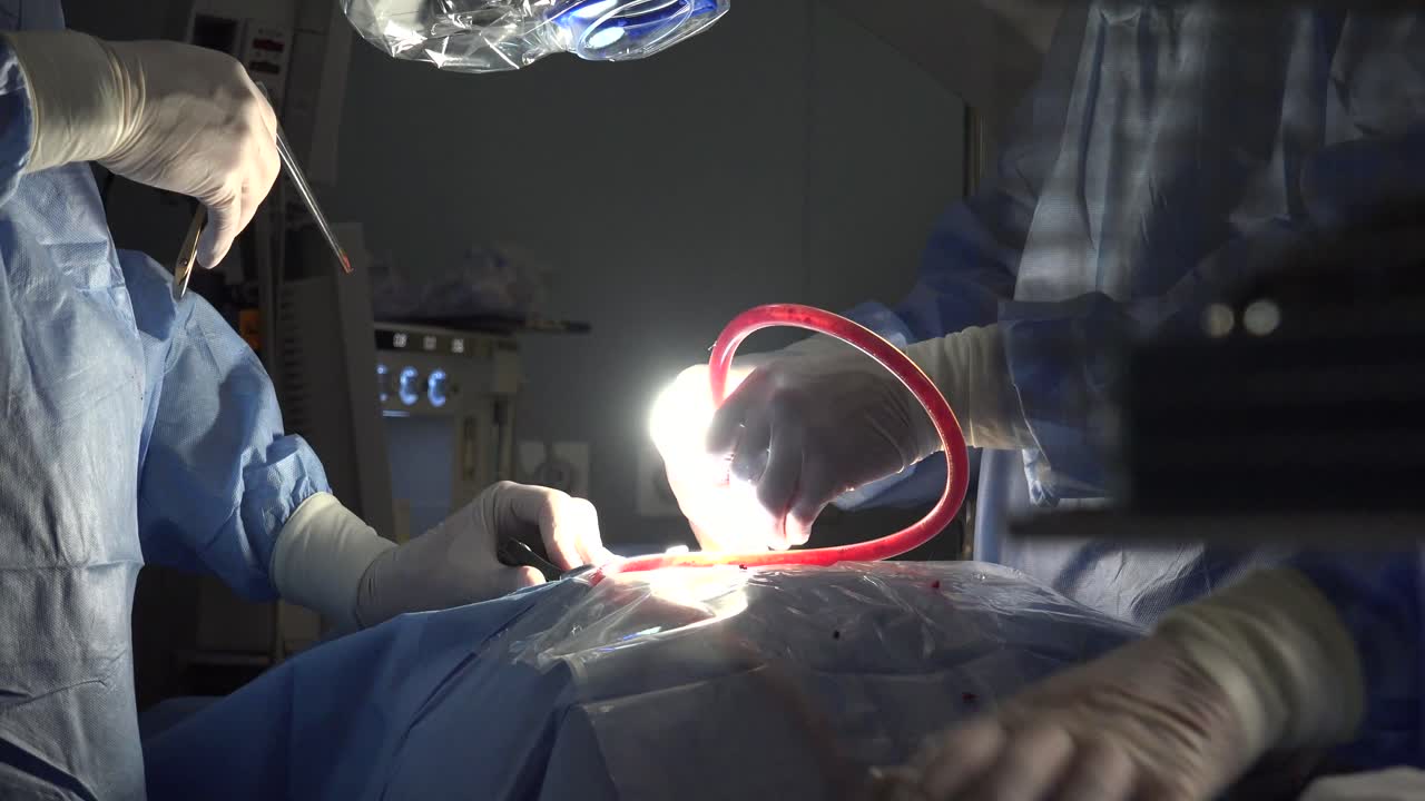 Spinal Disc Herniation Is An Injury To The Cushioning And Connective