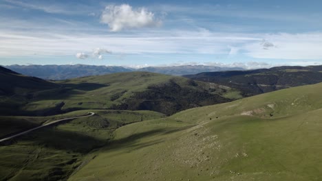 drone disparó animales corriendo montaña día soleado
