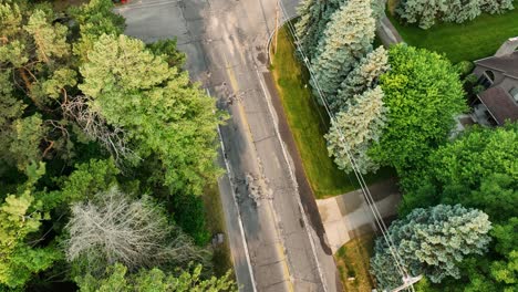 Verfolgung-Und-Neigung-Zeigen-Straßenarbeiten-Im-Waldpark