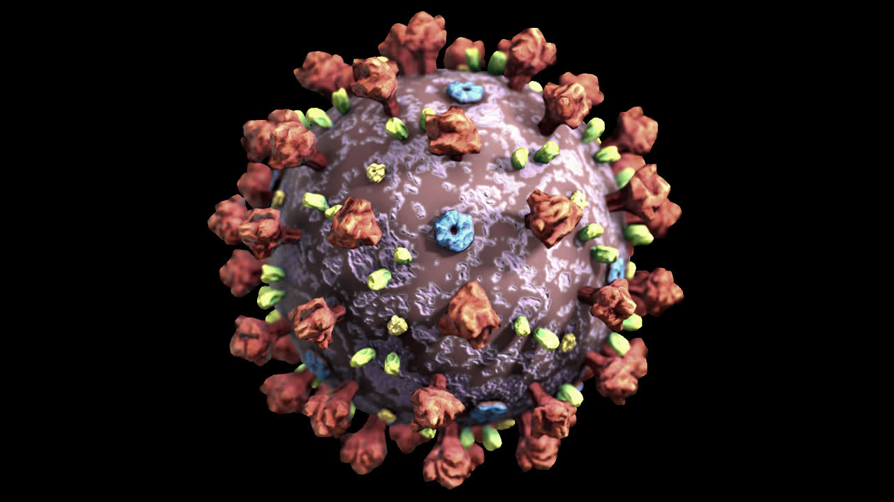 bucle continuo animado del coronavirus con fondo transparente
