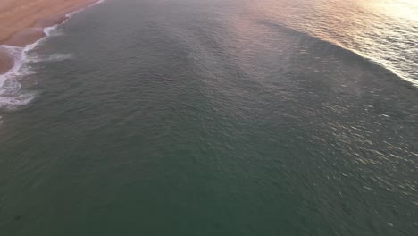 Sonnenaufgang-Am-Strand-Von-Fingal-Mit-Einem-Schwarm-Delfine-In-Der-Nähe-Des-Strandes