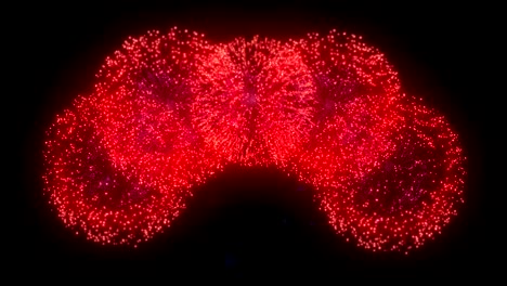red blue gold sparkles black sky firework display composition seamless loop background for birthday, anniversary, celebration, holiday, new year, party, event and celebrations, invitation