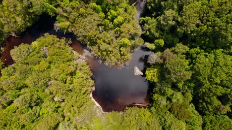 vista desde arriba en espiral sobre un río rojo en medio de un bosque virgen, parque tepuhueico, chiloe