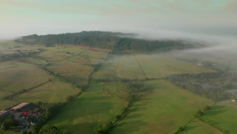 Wooded hilltop Beacon fell with mist and fog at sunrise and fronted by farmer's fields in summer. Trough of Bowland, Lancashire, England, UK