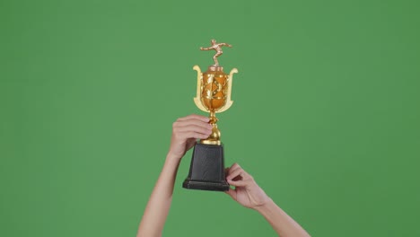 raised hands of a man are holding a trophy. green screen background