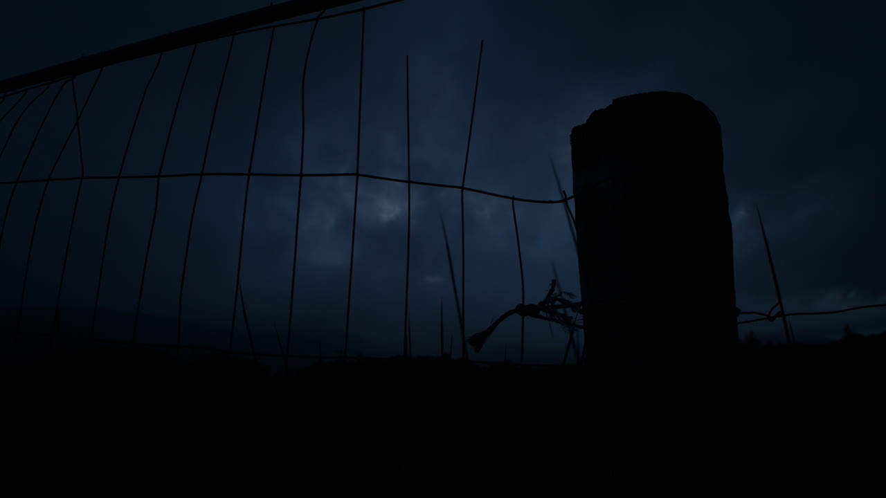 Dark night sky with clouds moving, metal fence and stone fest post in the foreground, dark silhouetted grasses swaying in the wind, very moody atmosphere, a bat flying across