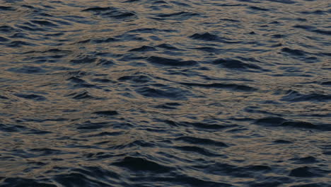 slow motion of blue sea water surface