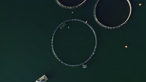 drone shot of fish farms in the sea.