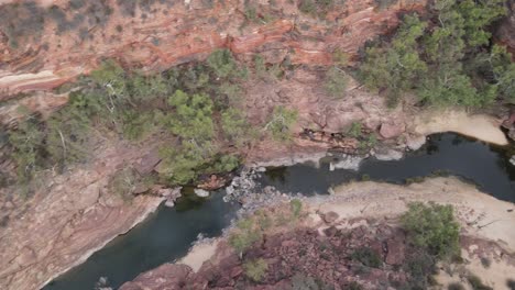 drohnenflugzeug fliegt direkt über einer australischen schlucht und einem nationalpark mit einem fließenden fluss an einem sonnigen tag