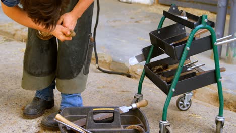 woman putting horseshoes in horse leg 4k