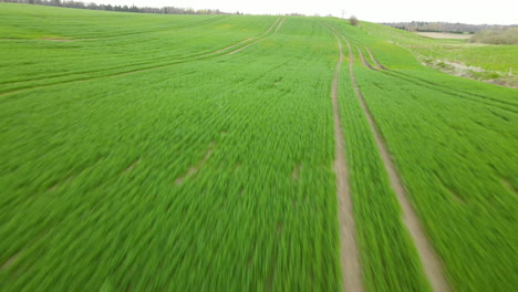 aerial drone fast flying back over endless green fields in pieszkowo poland