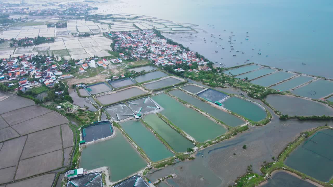 베트남 새우 양식장의 드론 영상