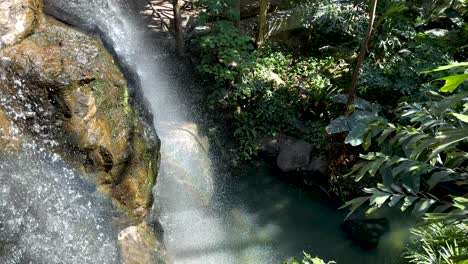 cascada serena en medio de un follaje tropical vibrante