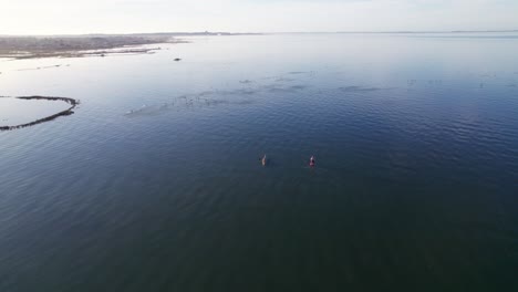 Vista-Aérea-De-Drones-De-Un-Extenso-Océano-Con-Botes-De-Remos-Y-Pájaros-Voladores-Dentro-Del-área