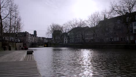 bright sunshine through a line of trees along the banks of the canal in utrecht, the netherlands