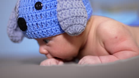 sweet infant baby in funny doggy hat lying face down on the bad. little kid trying to hold head up. close up.