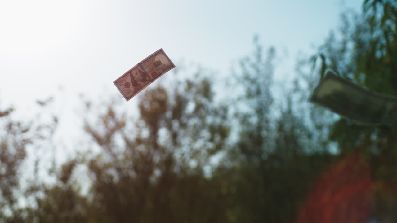 날아다니는 돈 지폐