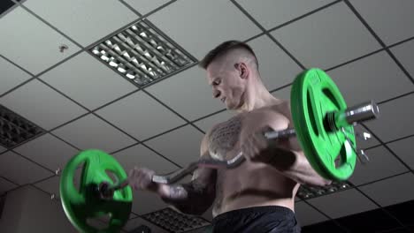 man performing barbell curls in a gym