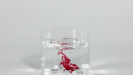 red dye creates intricate patterns as it disperses in a clear glass of water.