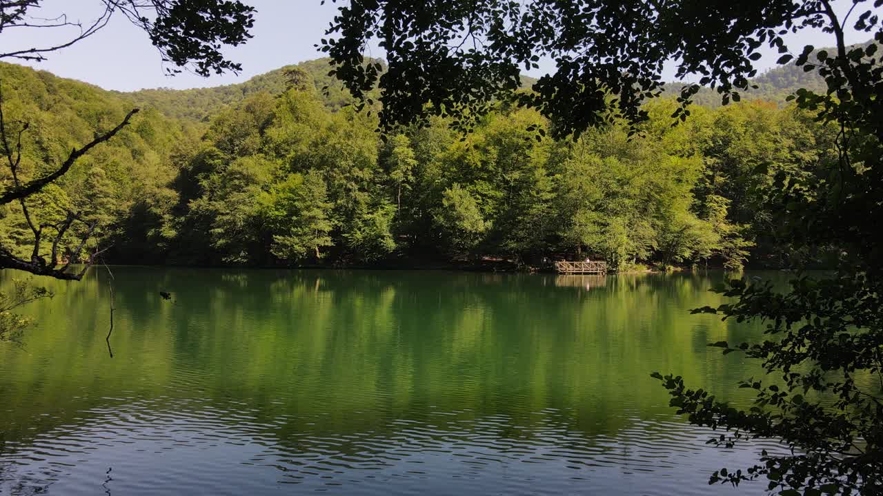 숲 2의 숲이 우거진 호수 공원