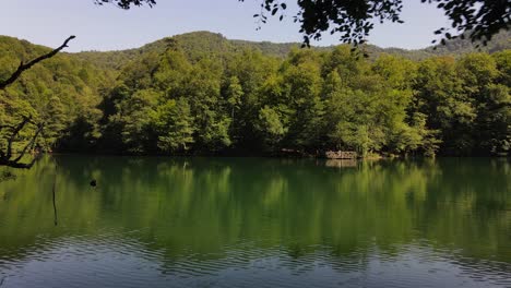 parque del lago arbolado en el bosque 2