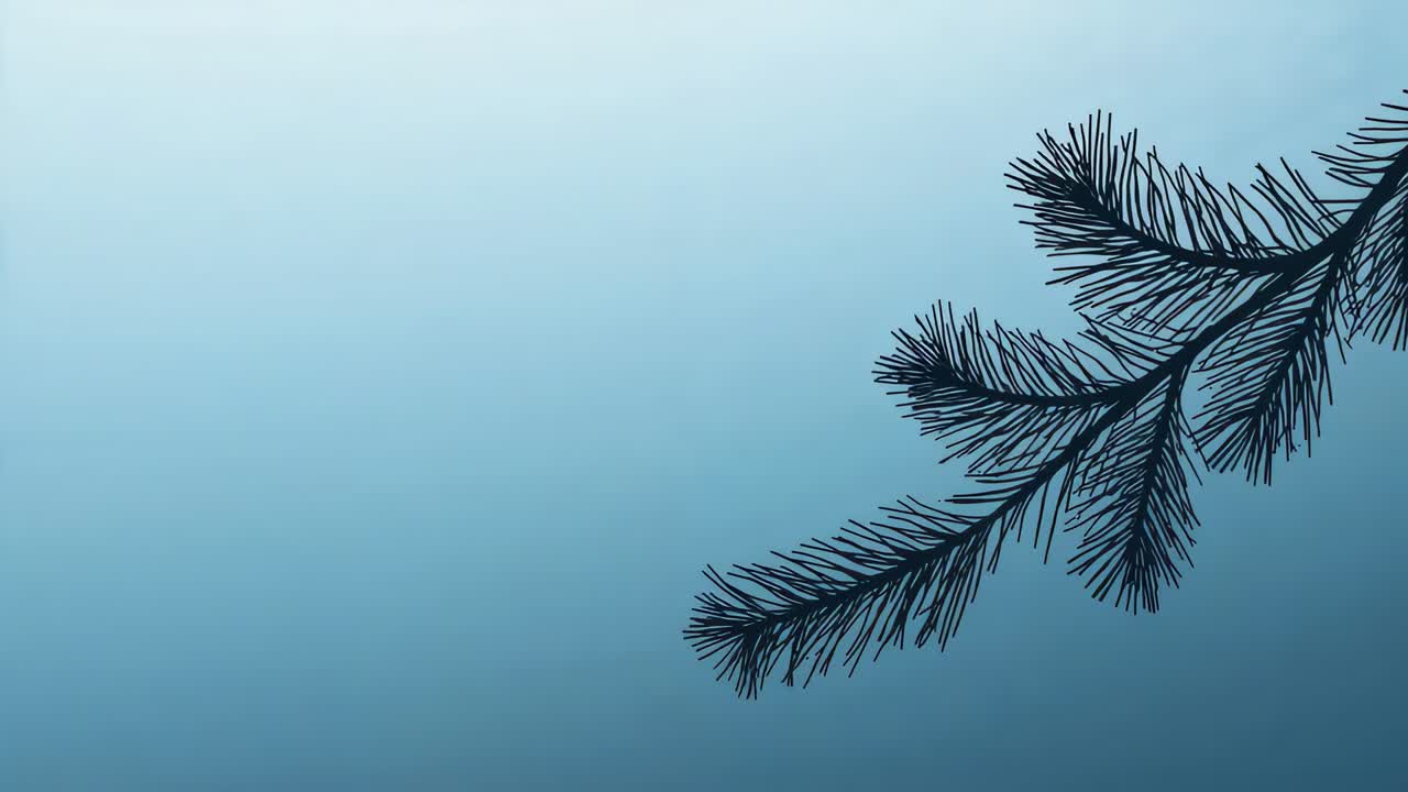 Entering fir branch rotating down from top right into blue gradient sky showing needles, copy space
