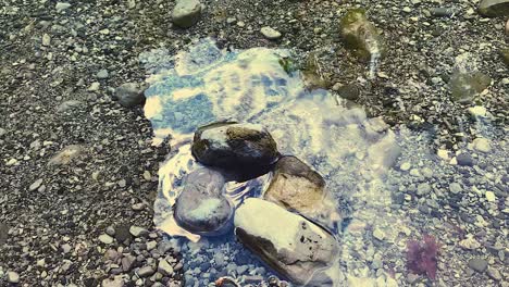 the water is transparent except for the leaf floating by