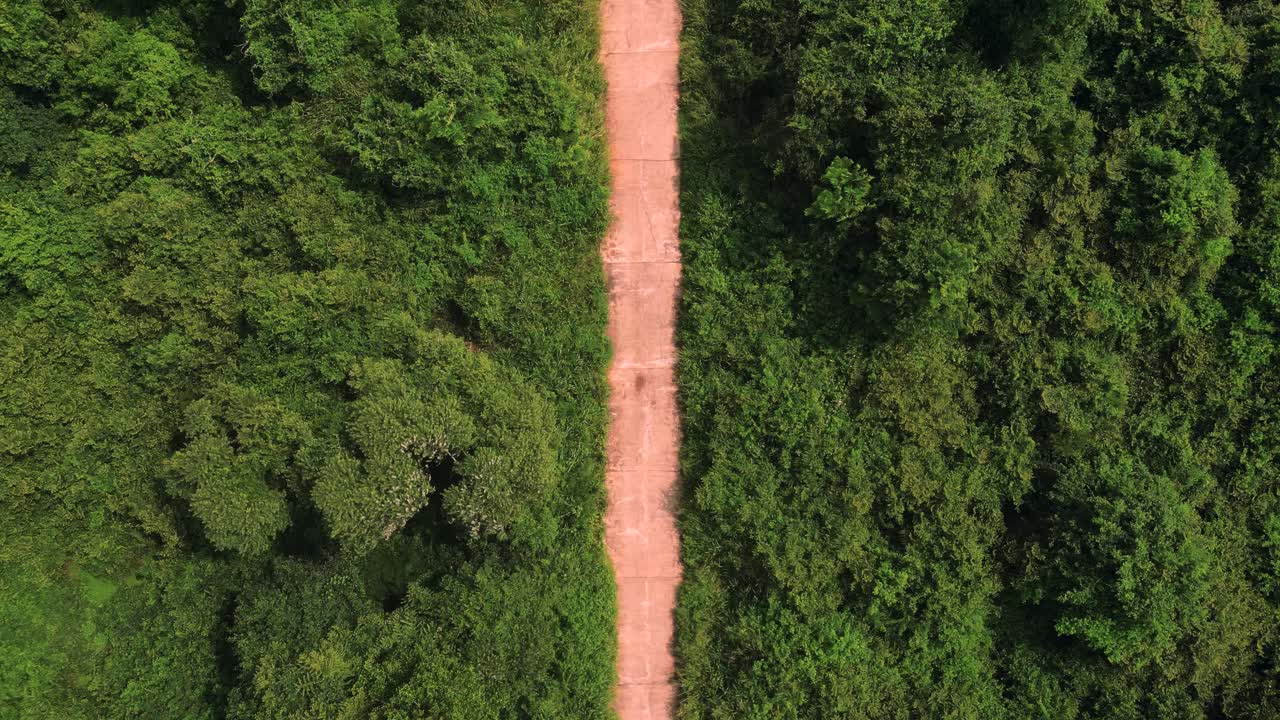 aerial view of s tuk tuk passing through a dirt road in the middle of a forest - Ella, Sri Lanka