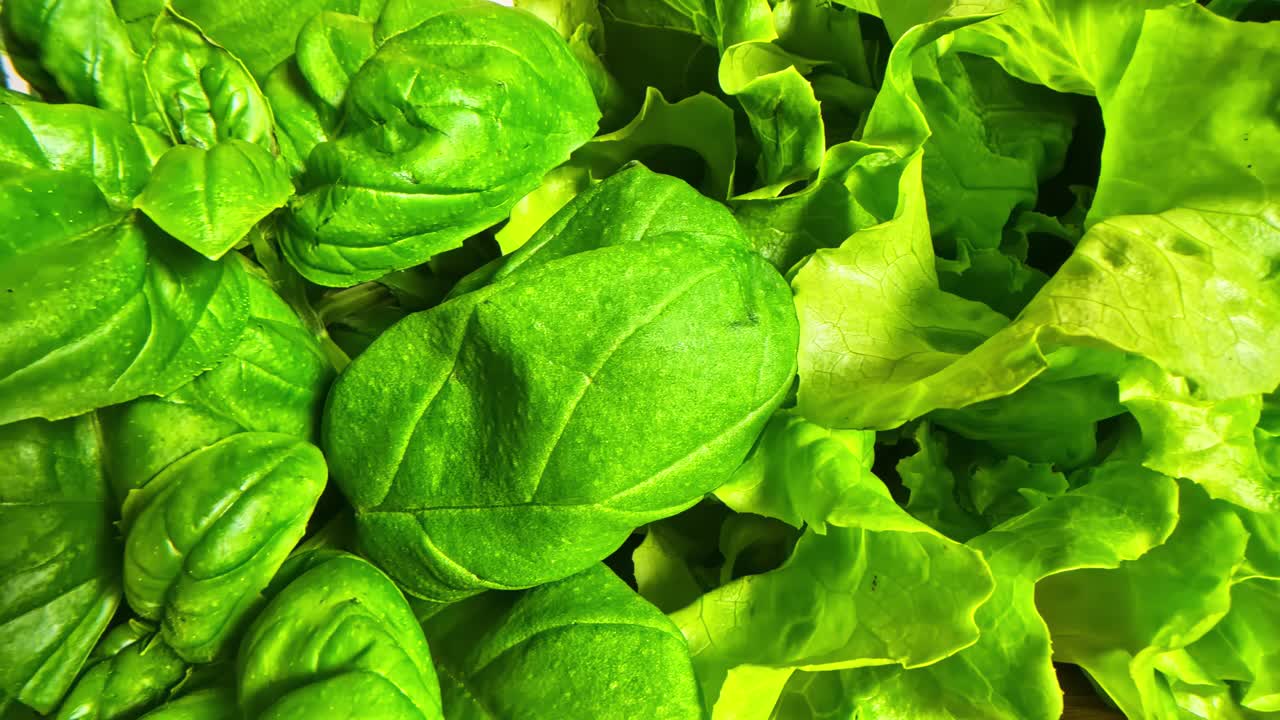 Texture astratta dall'alto di verdure a foglia verde fresche con gocce d'acqua e colori intensi