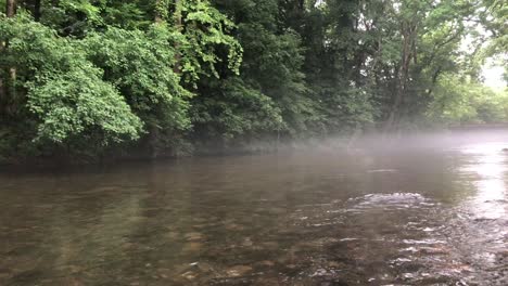 Río-Que-Fluye-A-Través-De-Un-Bosque-Denso