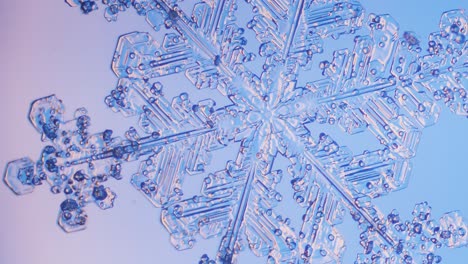 snowflake close up under microscope panning view blue background fine details