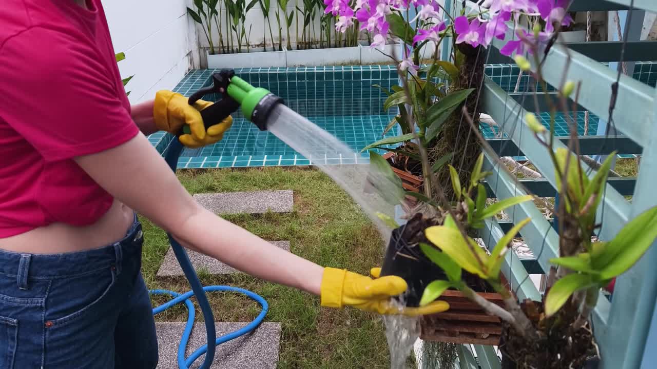 Watering Orchids in the Garden