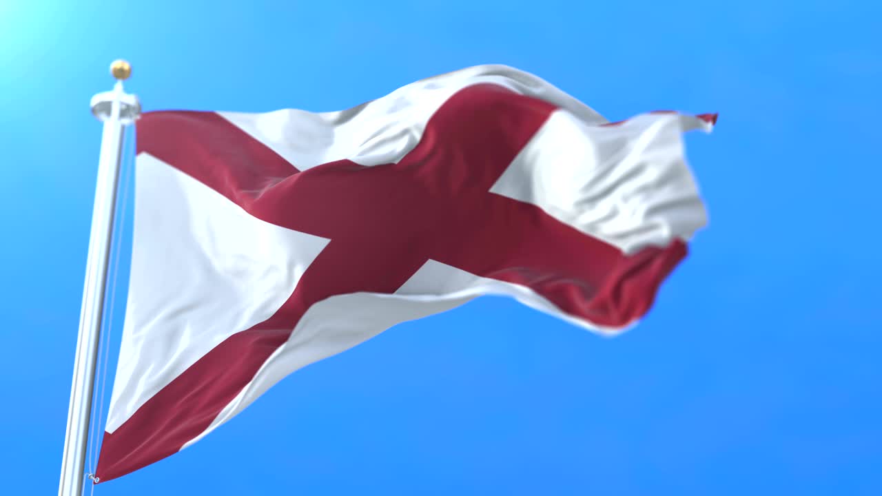 아일랜드의 세인트 패트릭의 발 (영어: st. patrick's saltire of ireland)