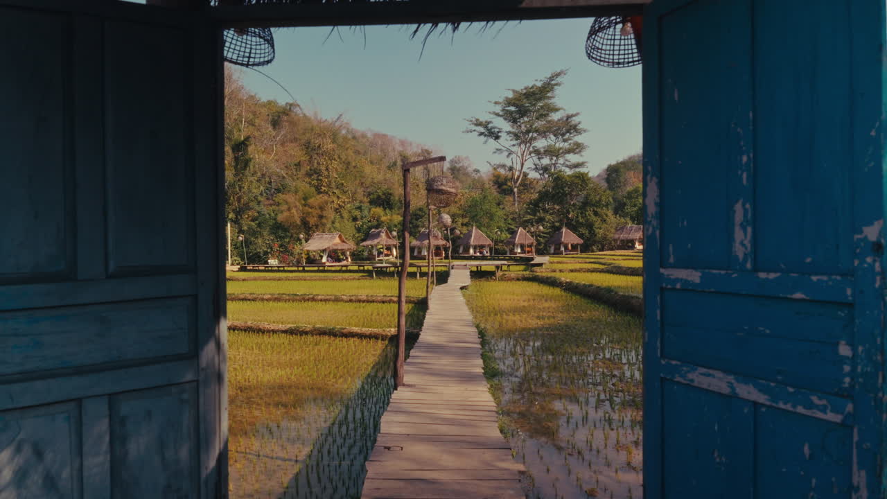 Tranquil Rice Paddy Village Through an Open Door