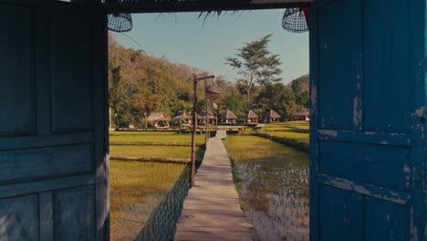 tranquil rice paddy village through an open door