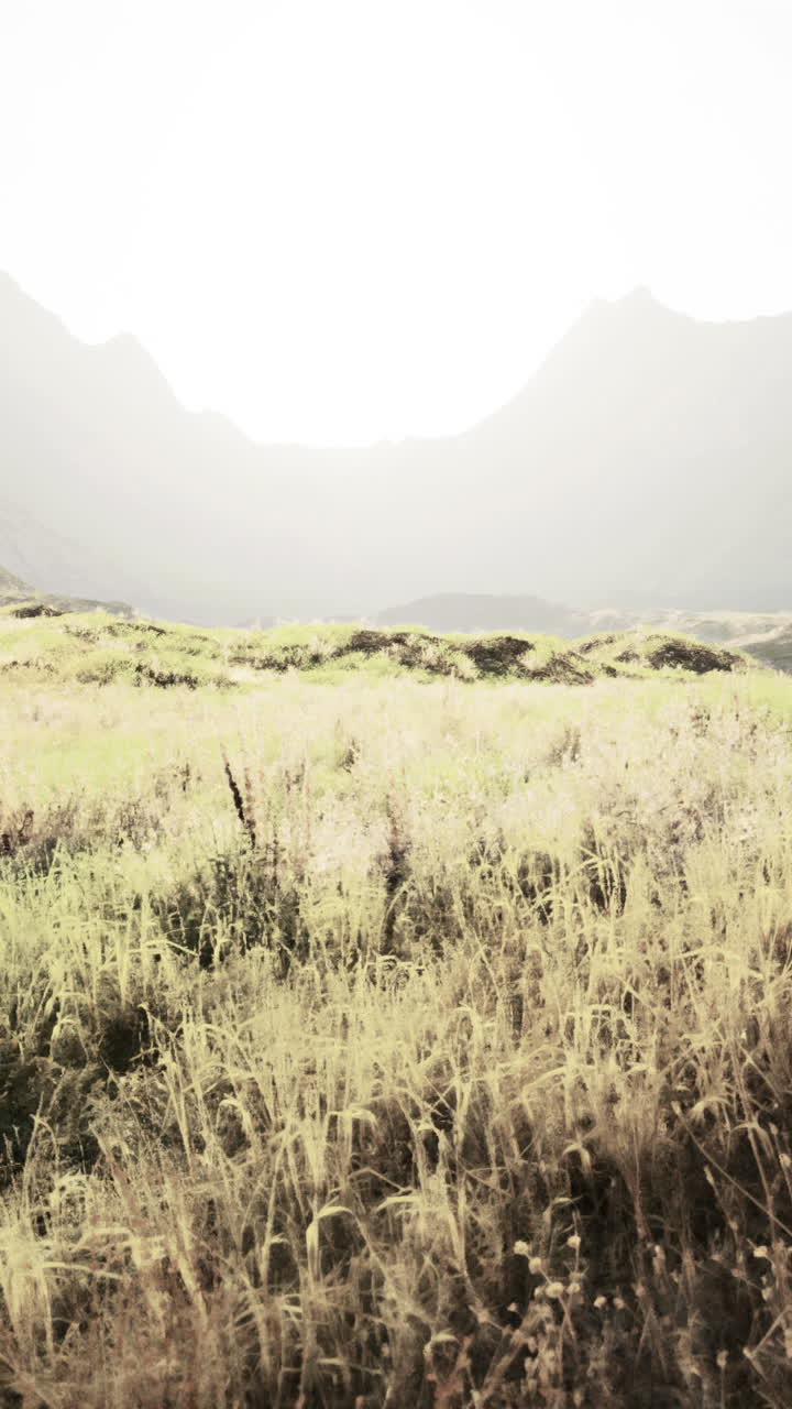 앞면 에 잔디 이 있는 안개 가 가득 한 산 풍경