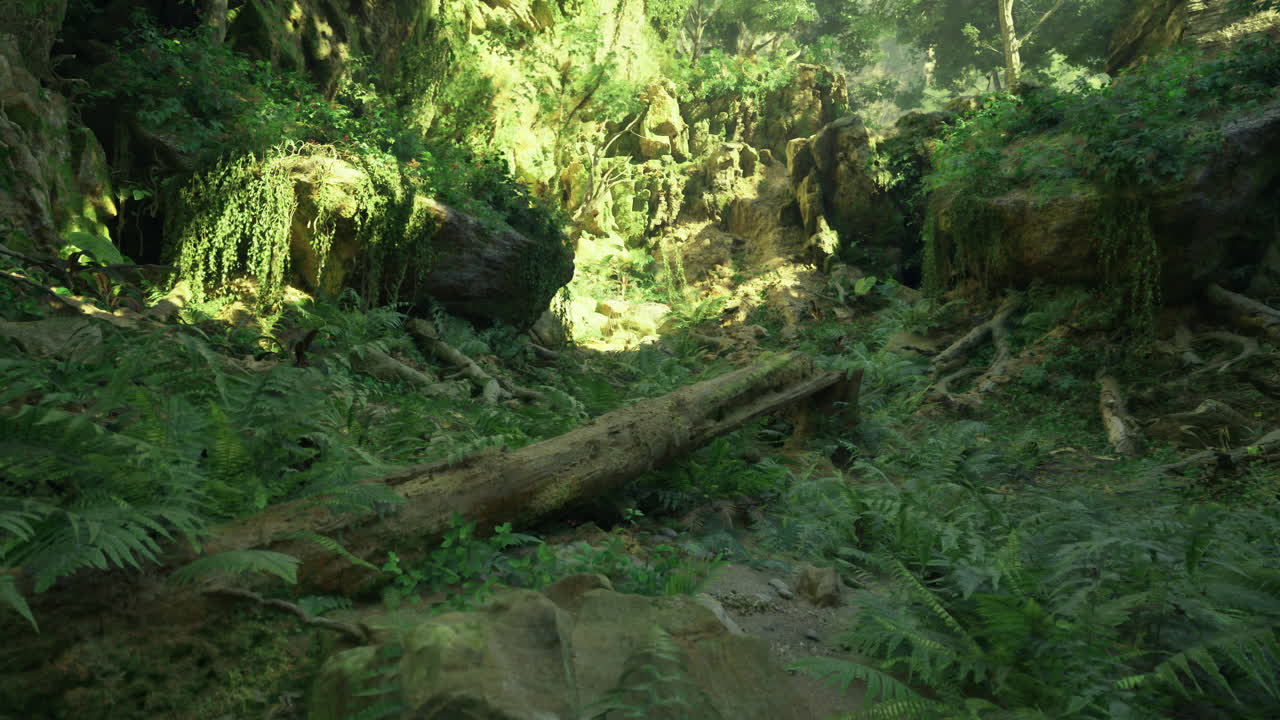 Lush green forest landscape with moss covered rocks and fallen trees