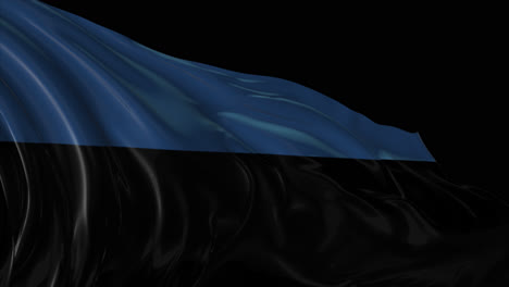 waving estonian flag