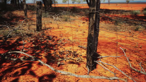 Pampas-with-barbed-wire-fence-and-dry-bushes