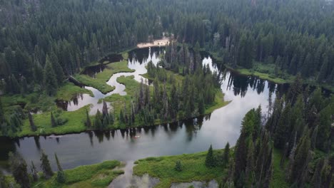 Drone-zoom-shot-of-trees-reflecting-on-the-calm-water-of-the-Payette-River-in-McCall,-Idaho-as-a-kayaker-floats-by